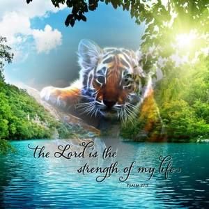 Meet your Posher, Meridith